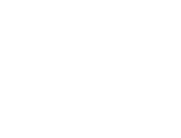 GO Transport